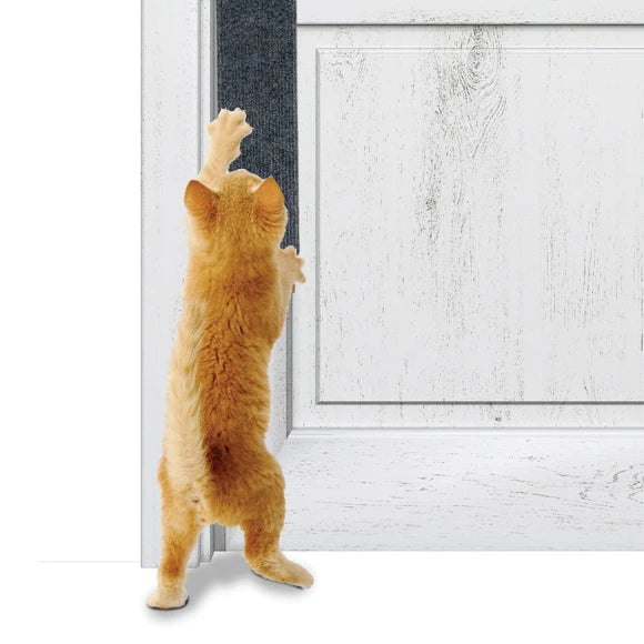 Hanging Door Cat Scratcher Everyday Pets NZ