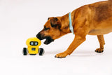 P.L.A.Y Alien Buddies Robo-Rover Tough Dog Toy