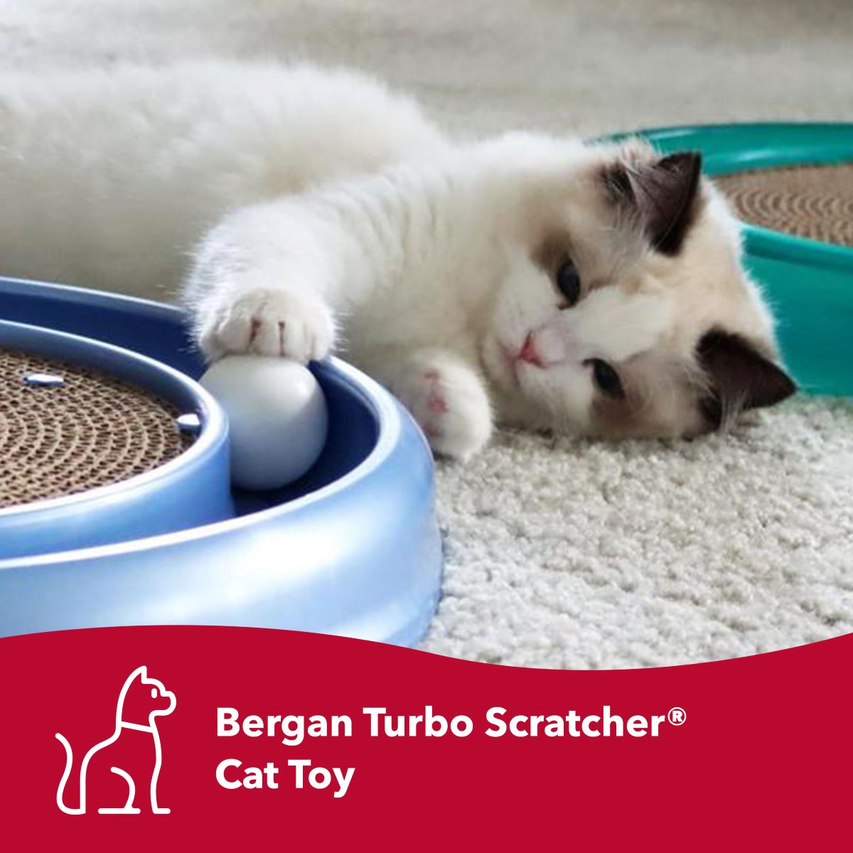 Bergan Turbo Cardboard Cat Scratcher