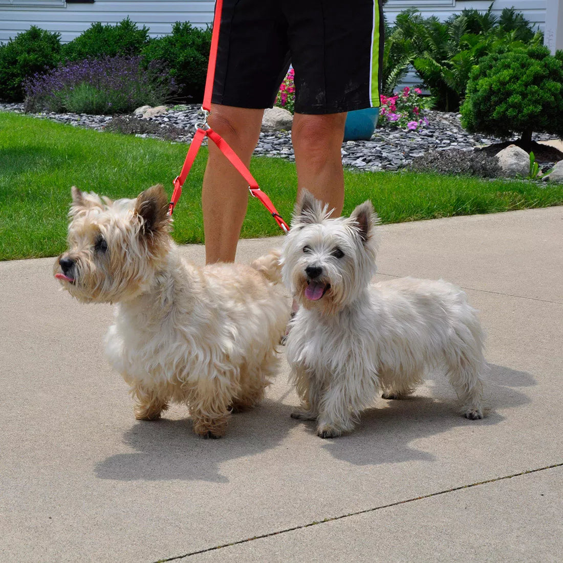 thumbnail image 2 of Primary Adjustable Coupler | Double Dog Leash Coupler 2 of 11