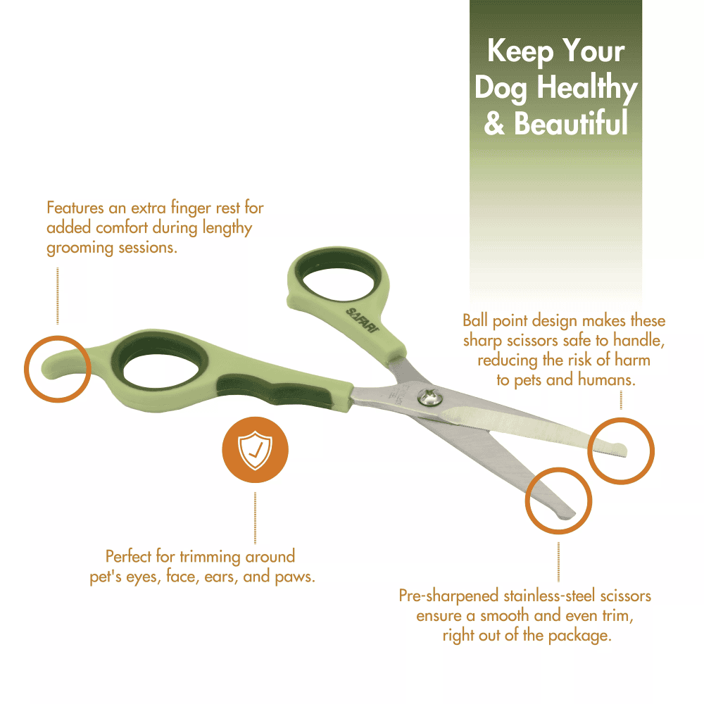 Safari - Dog Safety Scissors