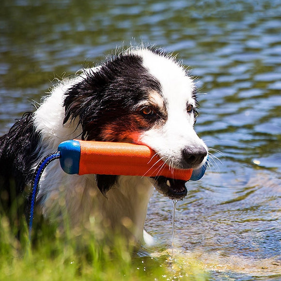 Chuckit Amphibious Bumper Dog Toy