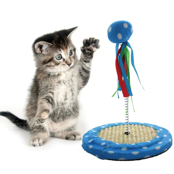 Cat Punch Ball Toy
