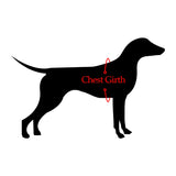 Dog Chest Girth Mesurement