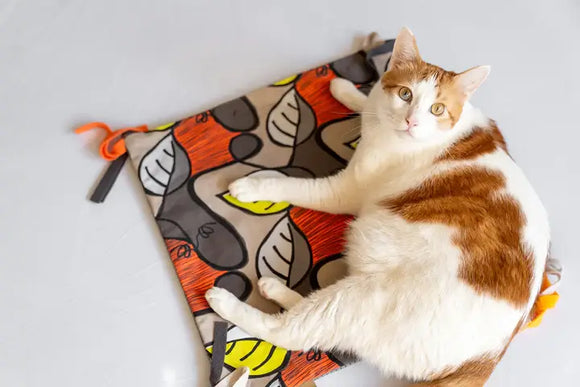 PLAY Purrfect Playtime Cat Mat