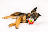 P.L.A.Y Alien Buddies Astro Explorer Dog Chew Toy