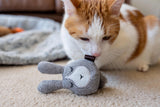 PLAY Foxy and Hopsy Soft Cat Toy