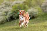 PLAY Go-Go Astro Floating Dog Ball