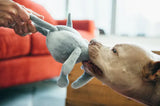 PLAY Safari Elephant Dog Tug Toy