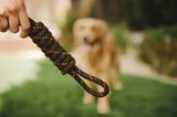 PLAY Scout and About Rope Tug Toy