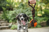  PLAY Tug Rope Interactive Ball Toy