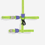 Zee.cat Reflective Cat Harness Lumen