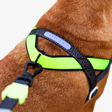 Zeedog Softer Walk Night Dog Harness Nox Reflective