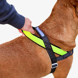 Zeedog Softer Walk Harness Nox Reflective Dog Harness