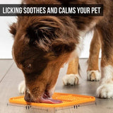 Boredom Busters Licking Mat Large
