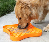 Boredom Busters slow feed bowl for dogs