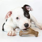 Benebone Puppy Chew Toys