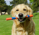 Chuckit Ultra Fetch Stick Dog Toy