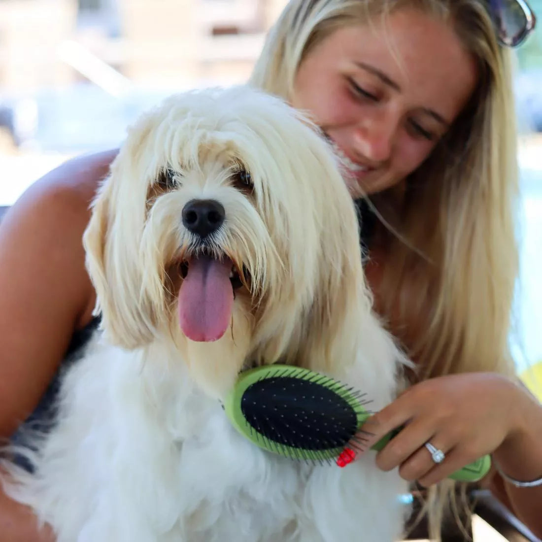 Dog best sale brush nz