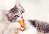 Gigwi Dental Mesh Catnip Cat Toy Shrimp