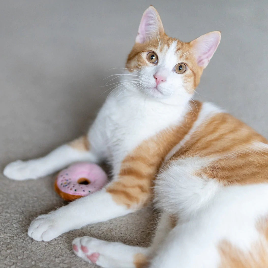 P.L.A.Y. Feline Frenzy Cat Toy - Kitty Kreme Donuts