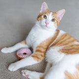 P.L.A.Y. Feline Frenzy Kitty Kreme Plush Toy