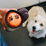 PLAY Pup Cup Cafe Latte to Go Soft Dog toy