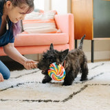 PLAY Snack Attack Lollipup Fun Dog Toy