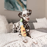 PLAY Tropical Paradise Canine Cervesa Plush Dog Toy