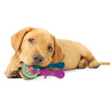Nylabone Puppy Teething Chew Pacifier