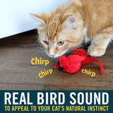 Ourpets flyover cat toy real chirping sounds