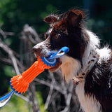 Chuckit Rugged Bumper fetch Dog Toy