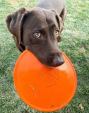 Jollypet Dog Flying Disc