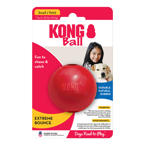 Kong Ball Small Dog Toy