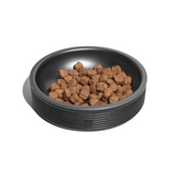 best cat food bowl