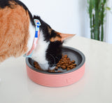 Best Cat food bowl