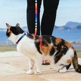 Zeecat Cat Harness with Leash