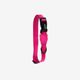 Zeedog Dog Collar LED Pink