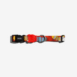 Zeedog fun dog collar