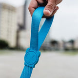 zeedog blue leash handle