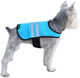 Zippypaws Dog Cooling Vest Small