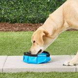 travel water bowl for dogs