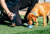 Pet Bowls, Feeders & Waterers Dexas - Snack Duo Fuschia