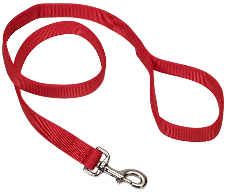 Pet Collars & Harnesses Coastal - 2 Ply Nylon Lead NZ 1.8m Red