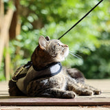 Pet Collars & Harnesses Coastal - Adjustable Cat Harness and lead