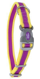 Pet Collars & Harnesses Pet Attire Pro Dog Collar Purple