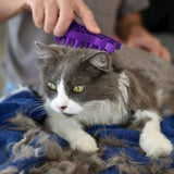 Pet Combs & Brushes Kong - Zoom Groom for Cats